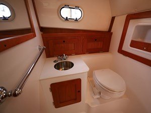 Head and Ensuite Shower