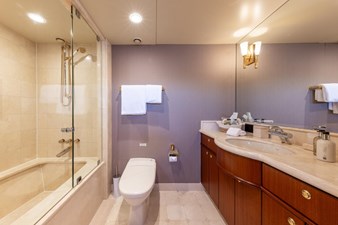 Guest bath -shower room