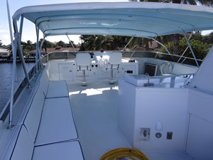 Flybridge Portside