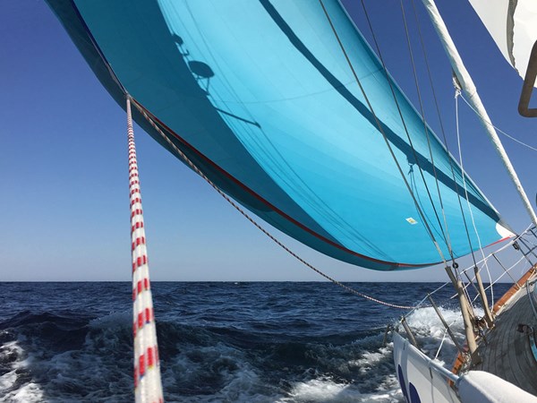 Little Harbor 44, Spinnaker