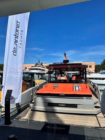 D50 coupe gris palma 2023