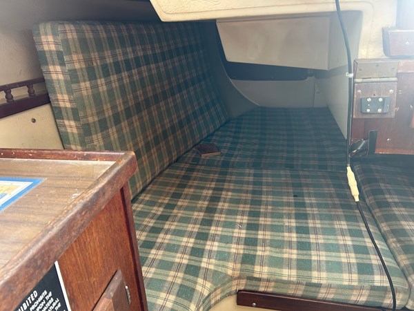 Large Quarter Berthy