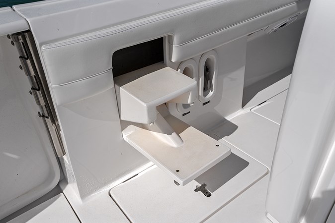 Pull-out step