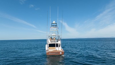 2006 Viking 56