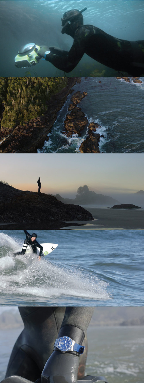 Cnt tofino