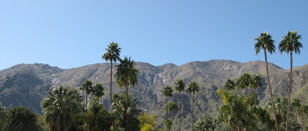 Mt San Jacinto Views