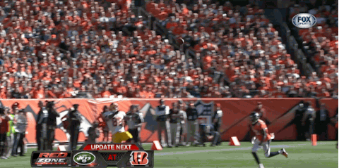Oklahoma Tigers - Diary 2013-10-2714_55_24