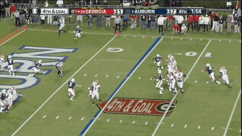 MurrayTDrun2.gif
