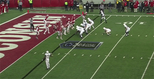 Wisconsin Coach Runs onto Field to Try to Call a Timeout to Prevent Easy TD