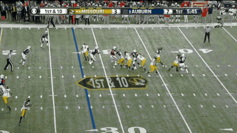 MizzouTD