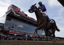 May 17, 2014; Baltimore, MD, USA; Victor Espinoza aboard California Chrome crosses the finish line to the 139th Preakness Stakesat Pimlico Race Course. Mandatory Credit: Winslow Townson-USA TODAY Sports