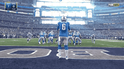 LionsPunt.gif