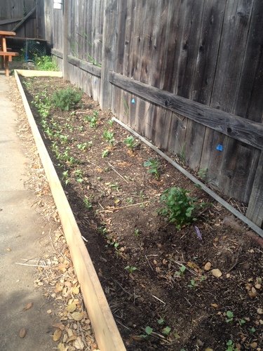 Photo_4_(1)