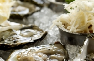 Oysters