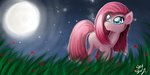 pinkie_pie skystarr