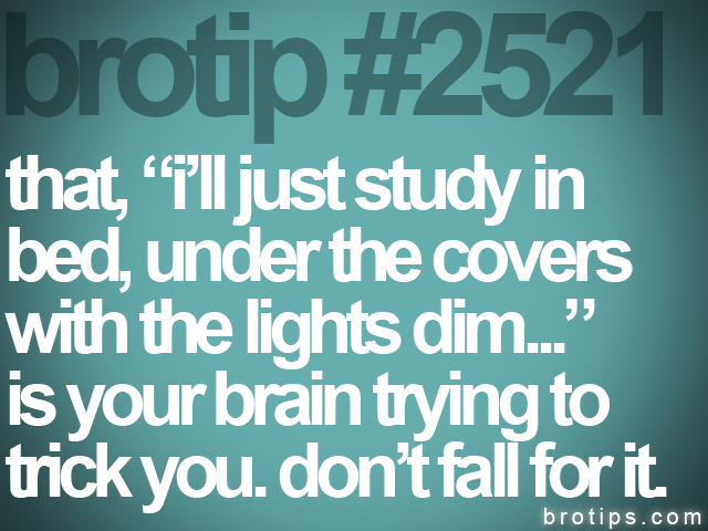 brotip #2521 that, “i’ll just study in<br>
bed, under the covers<br>
with the lights dim...”<br>
is your brain trying to<br>
trick you. don’t fall for it.
