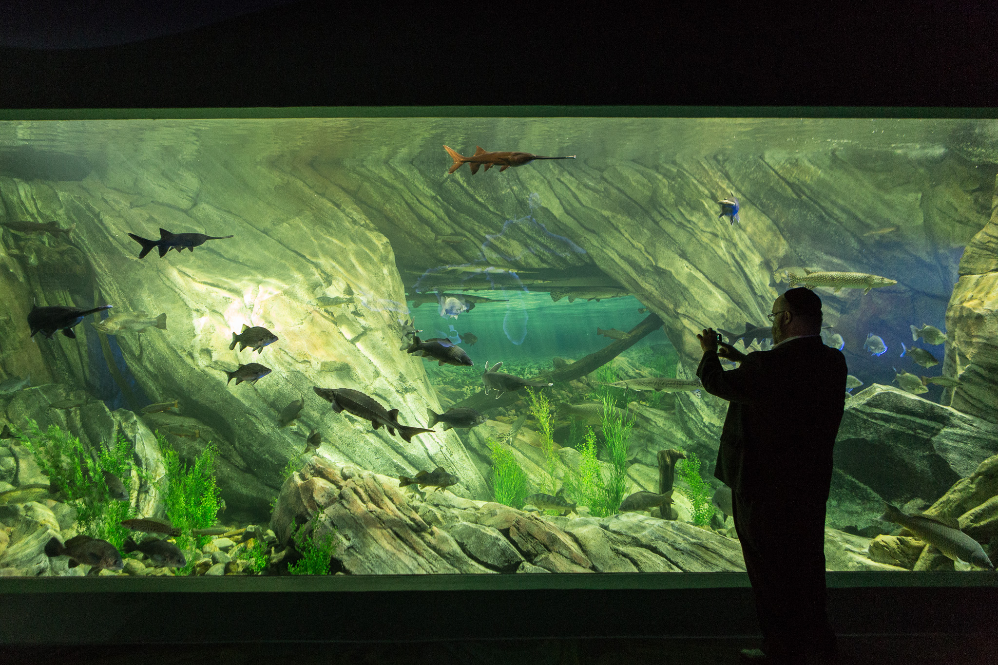 Opening of Ripley's Aquarium in Toronto