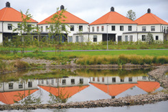 Vingesten