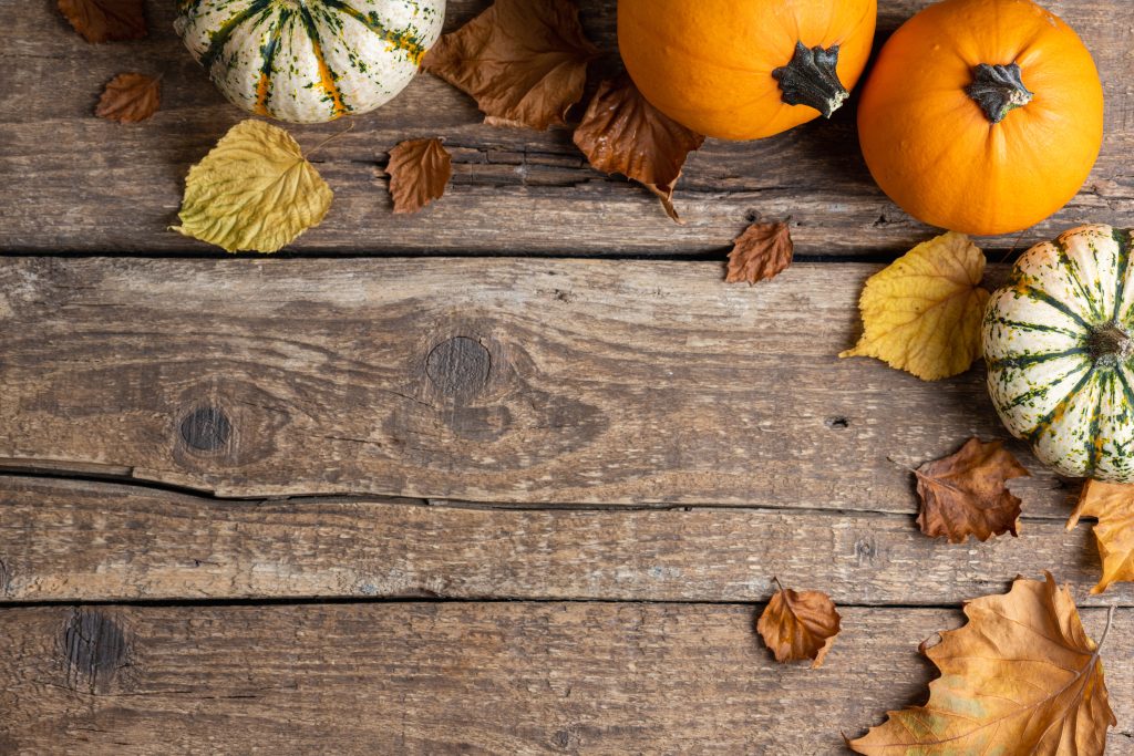 Festive autumn decor from pumpkins and autumn leaves on rustic wooden background