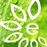 Essential Living Foods