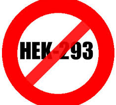 Say NO to use of aborted fetal cells - Hek 293