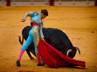 Boycott companies that support bullfighting