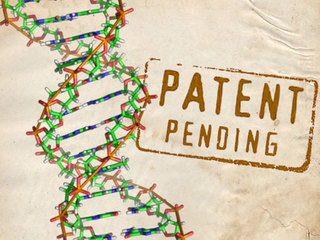 No patents on life