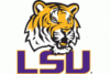  Logo LSU Tigers 9x9 Tent Side Panel Shade Wall