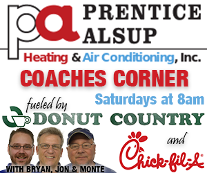 dejta cougars baseball