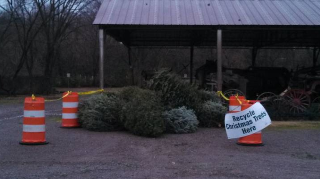 christmas tree dumping locations in rutherford county christmas tree dumping locations in rutherford county