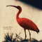 1)-scarlet-ibis,-2003