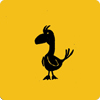 The Album With The Bird