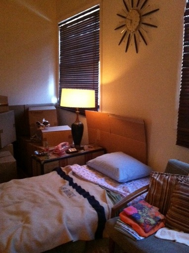 Photo7