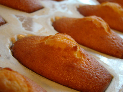 Madeleines