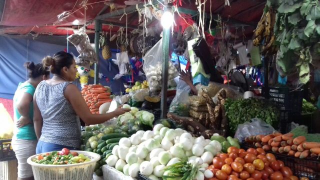 Campeche-Hoy-Frutas