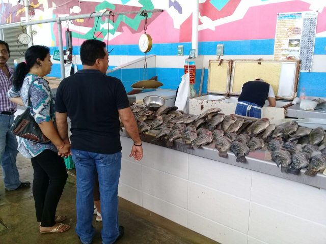 Campeche-Hoy-Pesca3