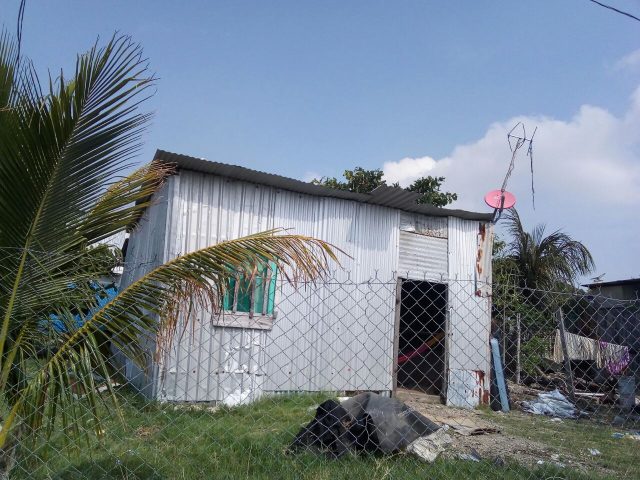 FOTO-15