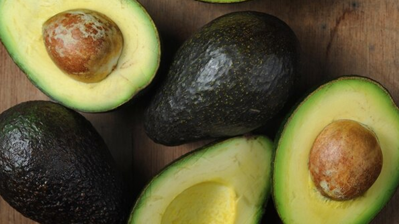 Precio del aguacate en aumento en la Isla Campeche HOY