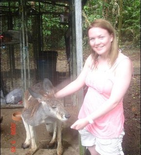 Kangaroo_medium