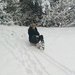 eira2011