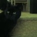 Chalky