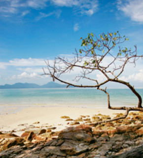 Beach_medium