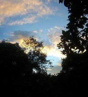 Sunset_in_the_jungle_medium
