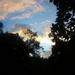 Sunset_in_the_jungle_thumb