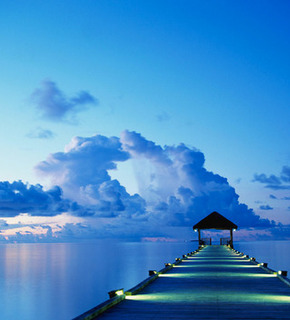 Dock_medium