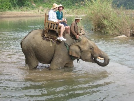 Laos_elephent