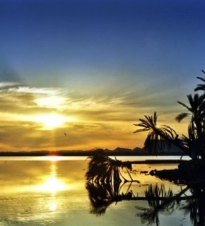 Sunset_medium
