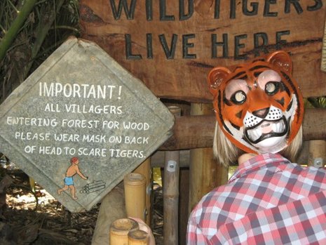 Yearoftiger