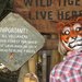 Yearoftiger_thumb