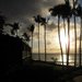 View_thumb